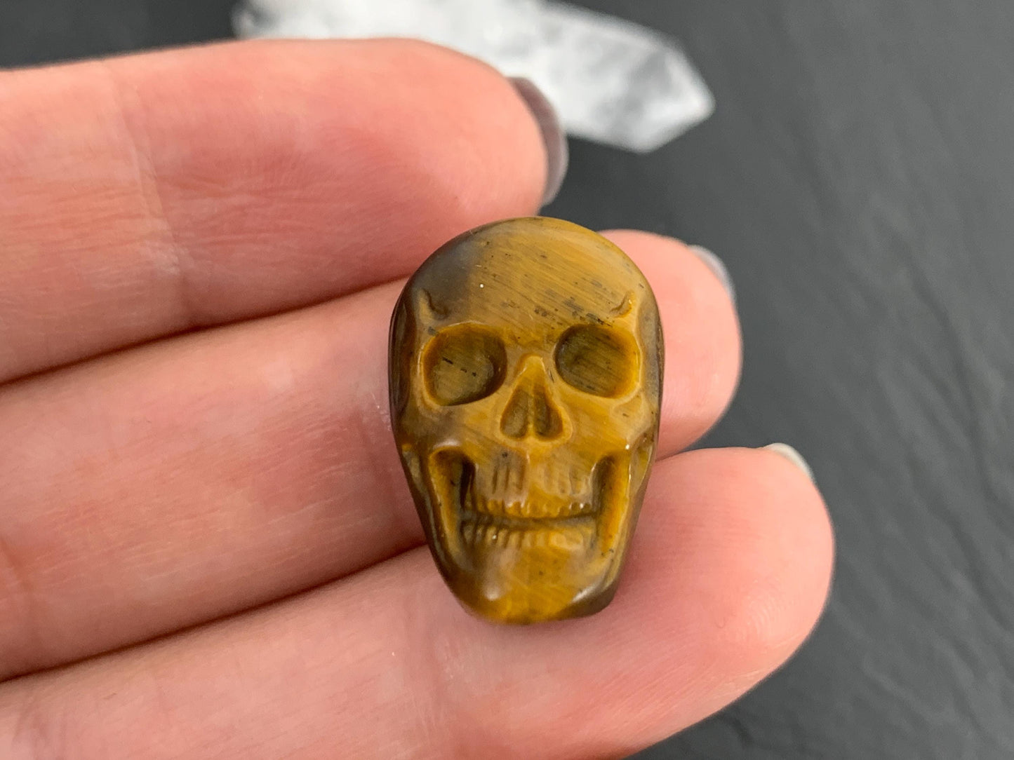 Tiger eye skull 14x21mm cabochon