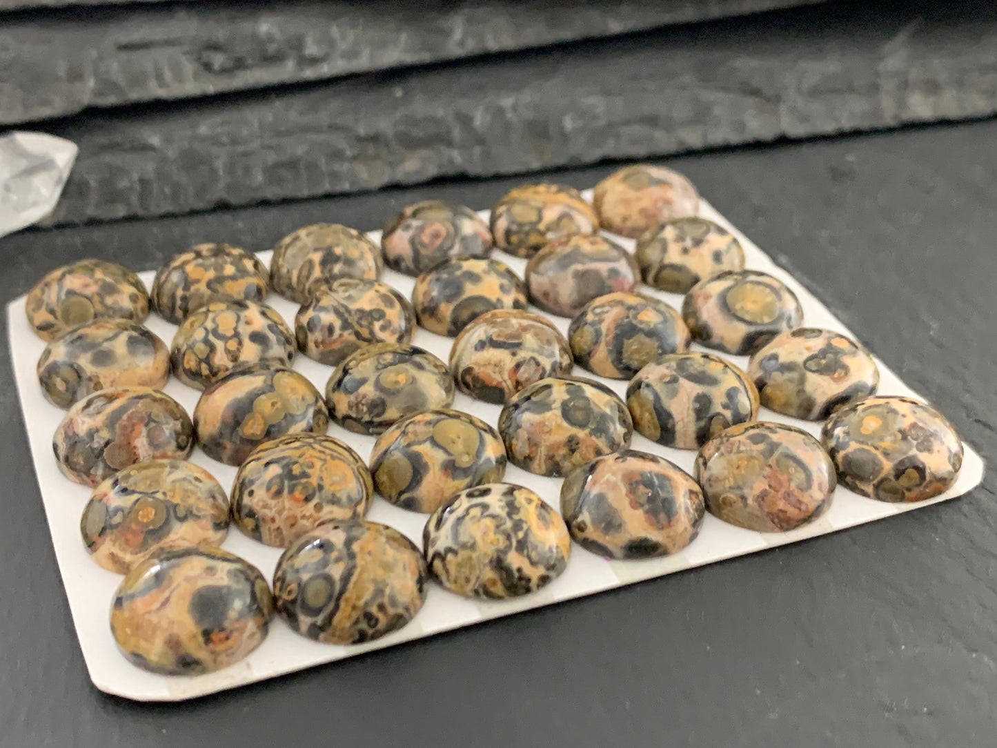 Leopard Jasper 12mm cabochon
