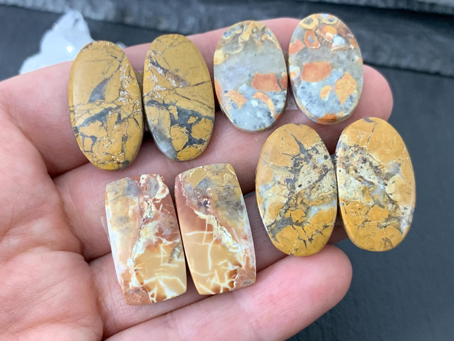 Maligano Jasper cabochon pair
