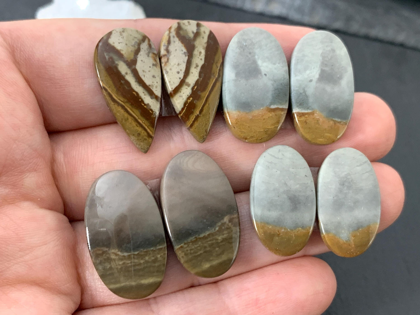 Polychrome Jasper cabochon pair