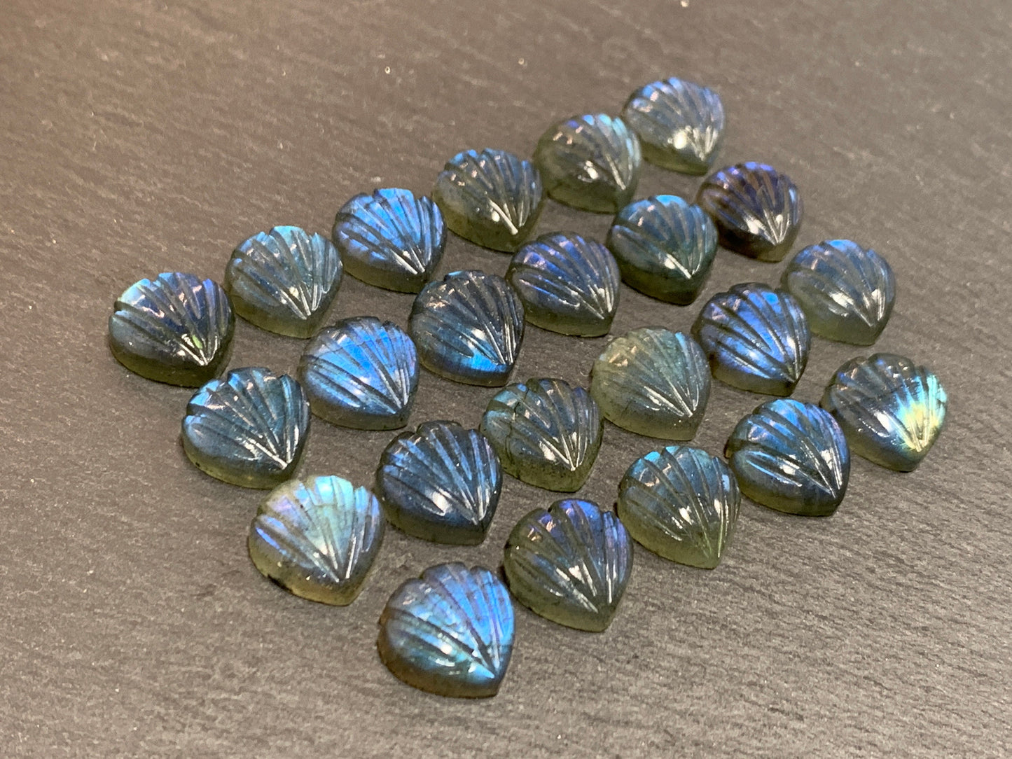 Labradorite Sea shell 12x12mm cabochon carved