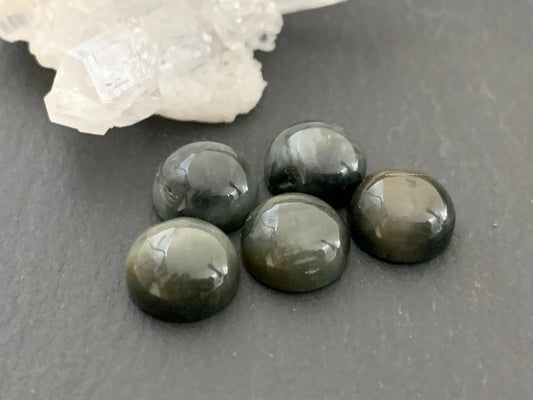 Eagle Eye round 10mm cabochon - Calibrated cabochons