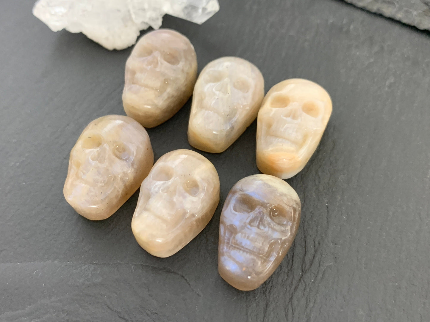Moonstone skull 15x22mm cabochon carving