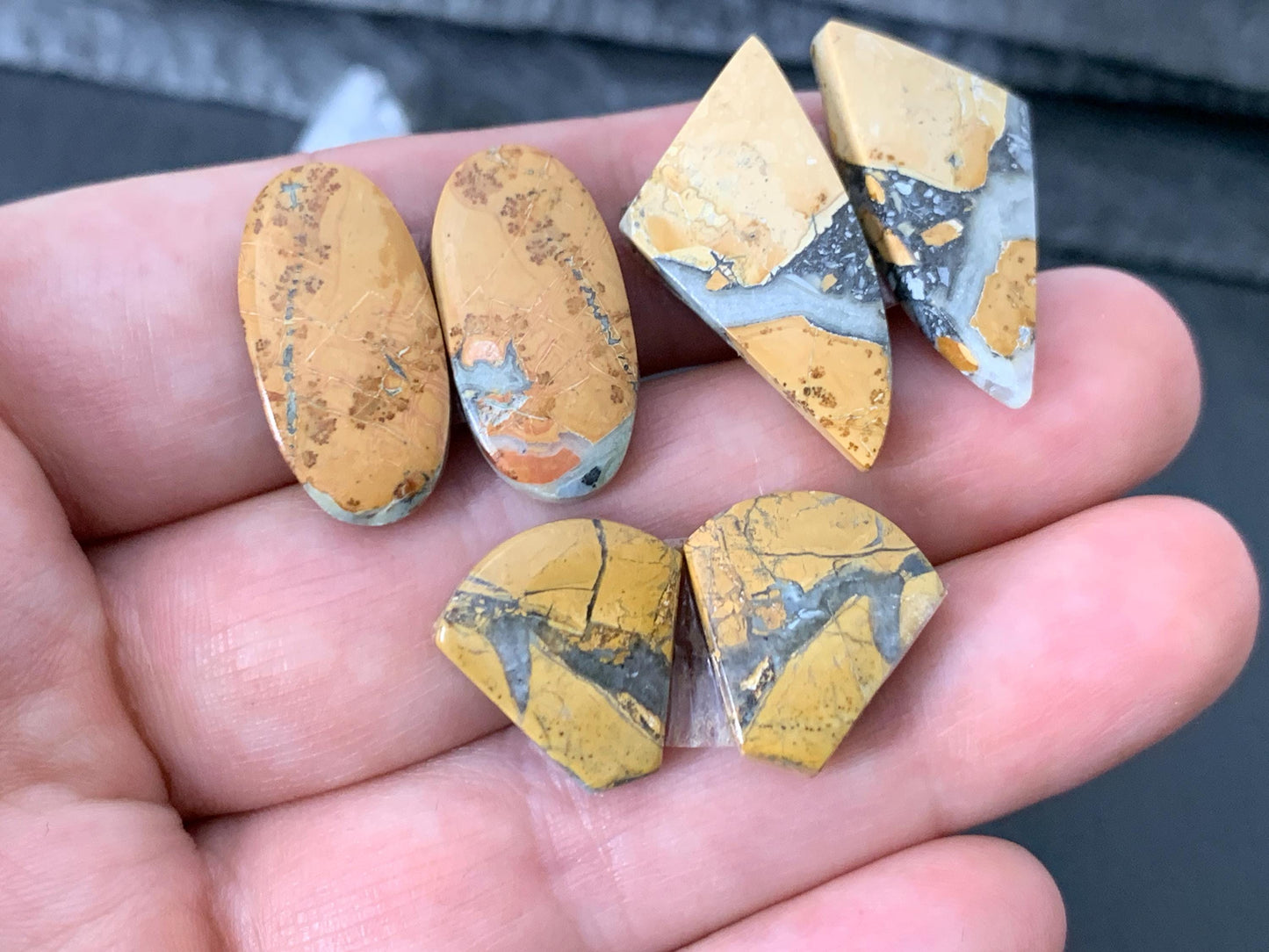 Maligano Jasper cabochon pair