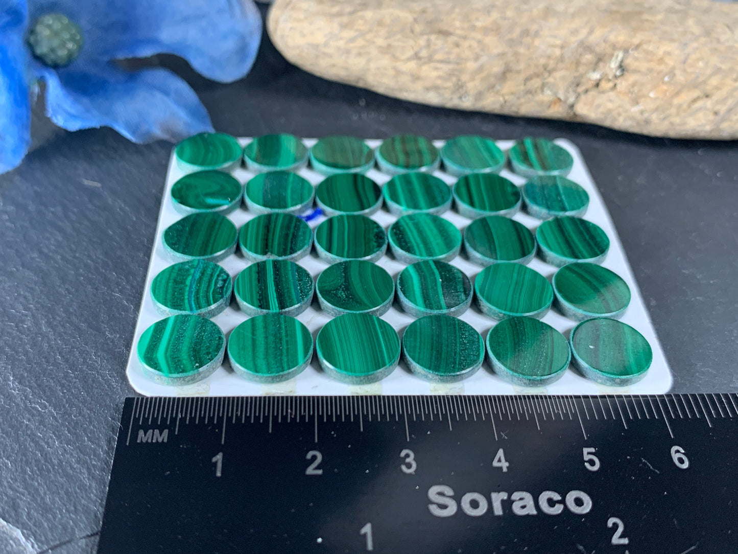 Flat Malachite round 10mm cabochon - Calibrated cabochons