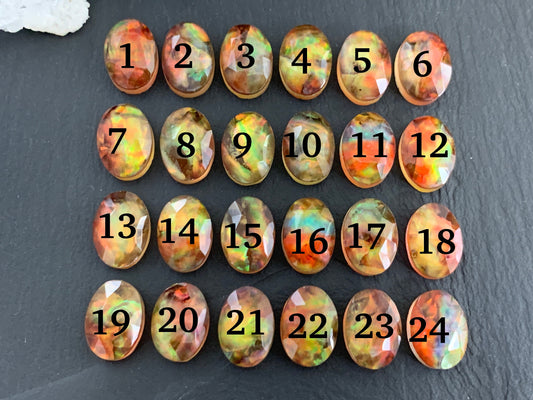 Ammolite Doublet oval 10x14mm cabochon