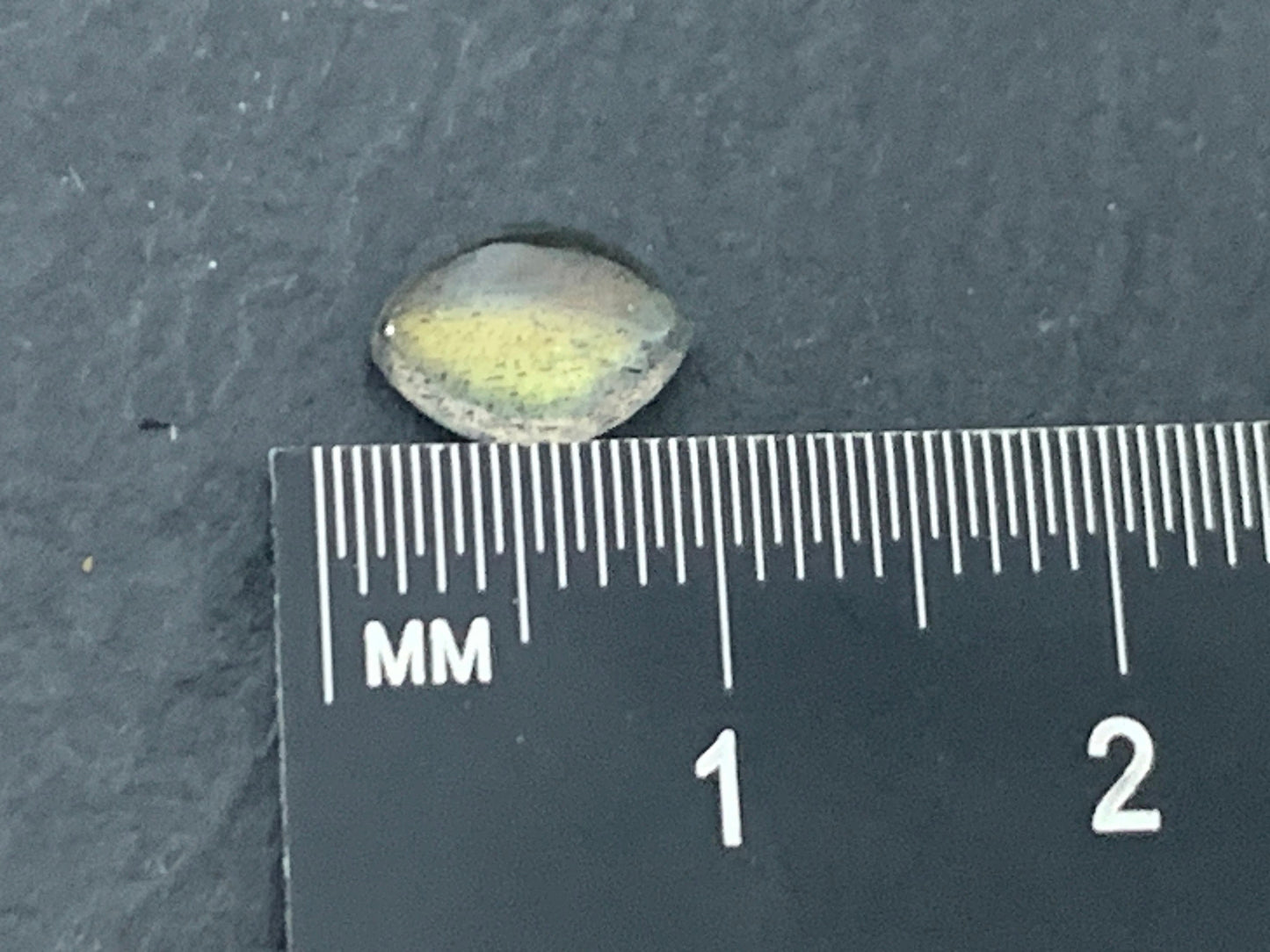 Labradorite marquise 6x8mm Cabochon - Calibrated Cabochons