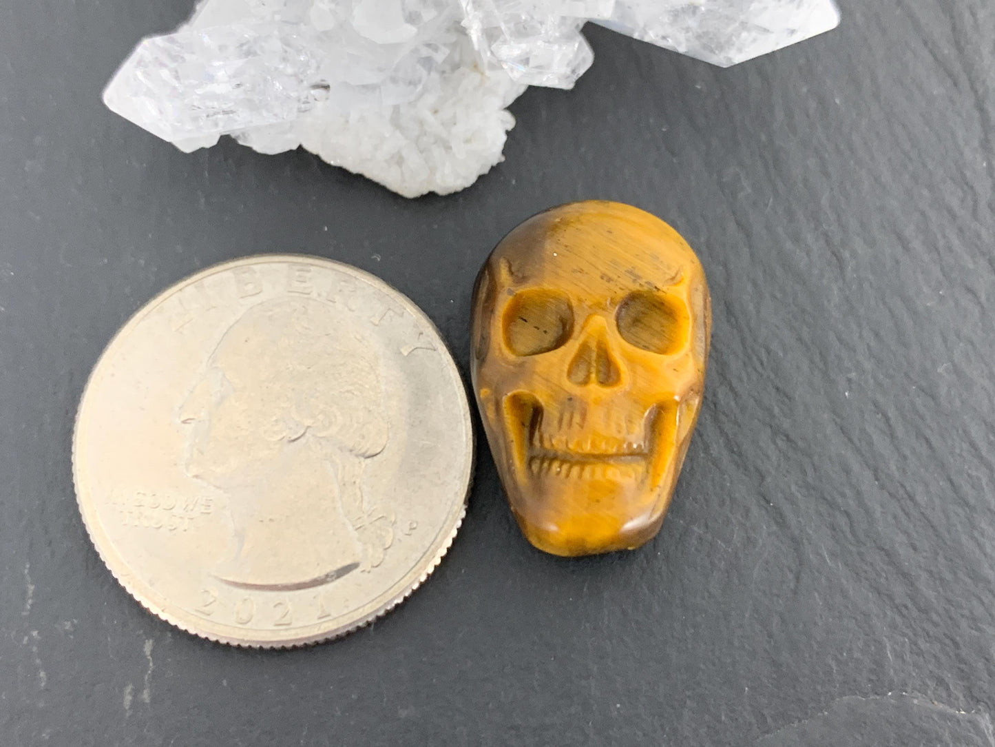 Tiger eye skull 14x21mm cabochon