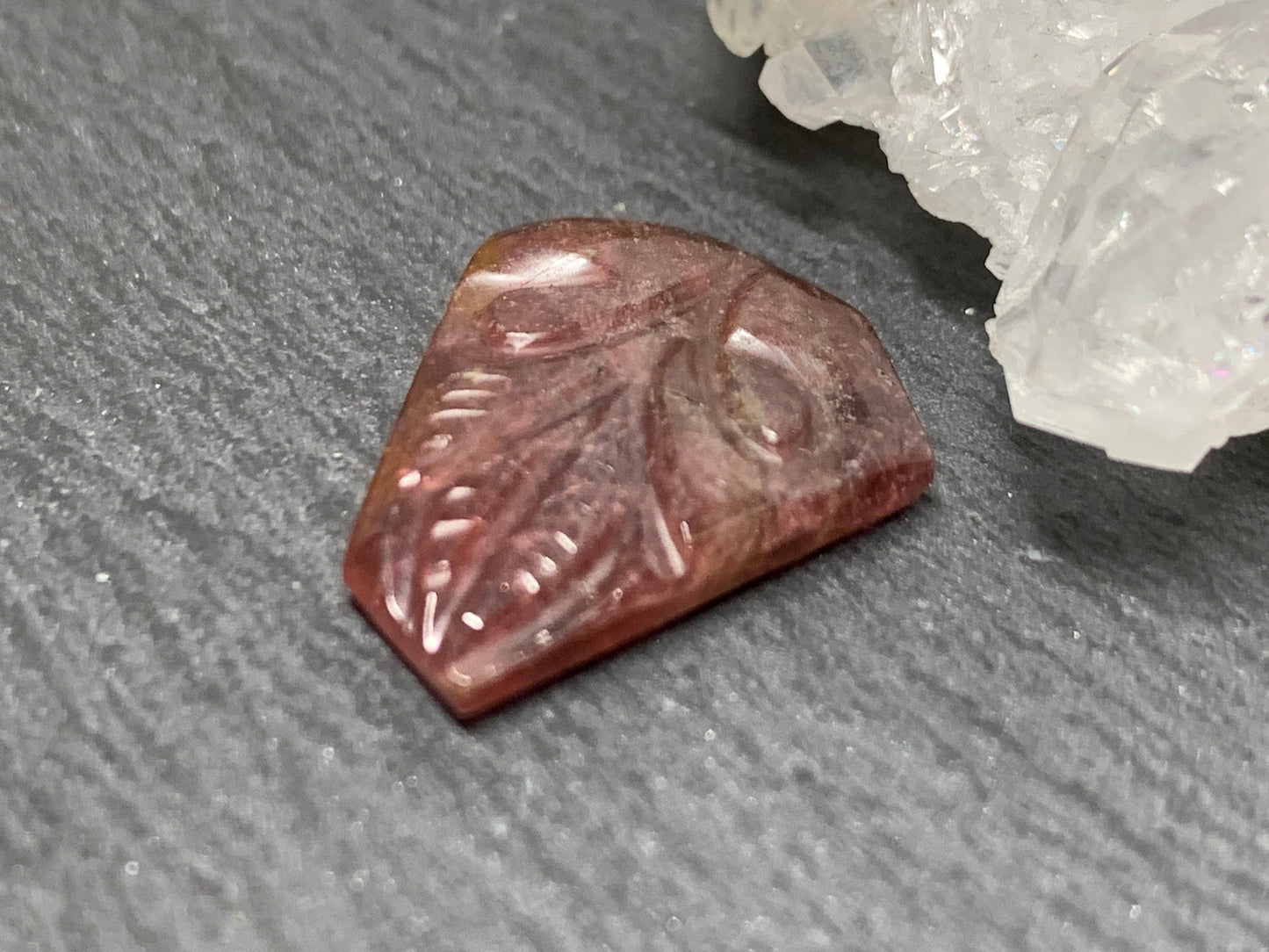 Carved Tourmaline 16x19x3mm cabochon
