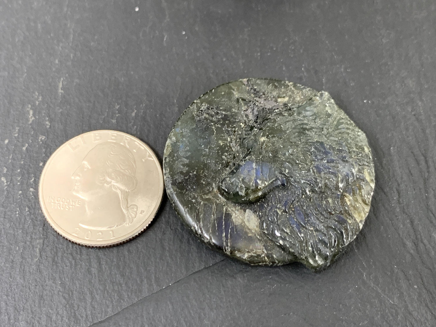 Labradorite Wolf Carving - Natural 40mm Flat Back Gemstone Figure