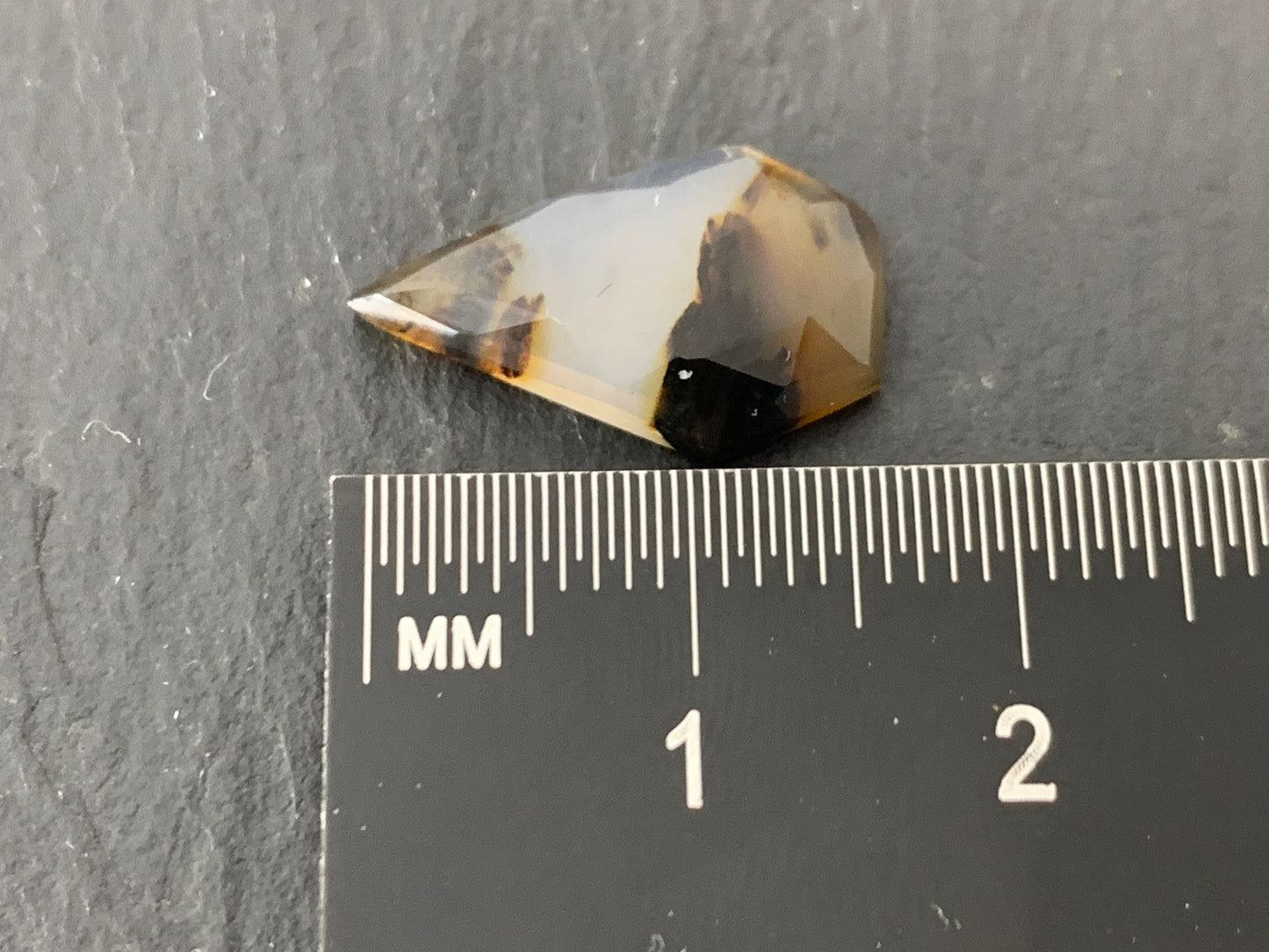 Faceted Montana Agate shield 16-17mm long cabochon