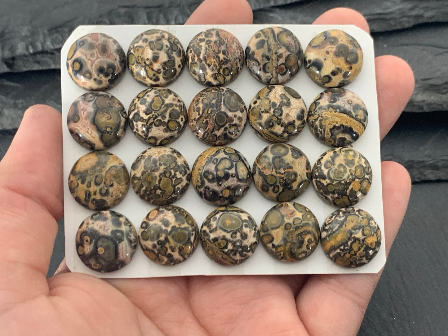 Leopard Jasper round 15mm cabochon - Calibrated cabochons