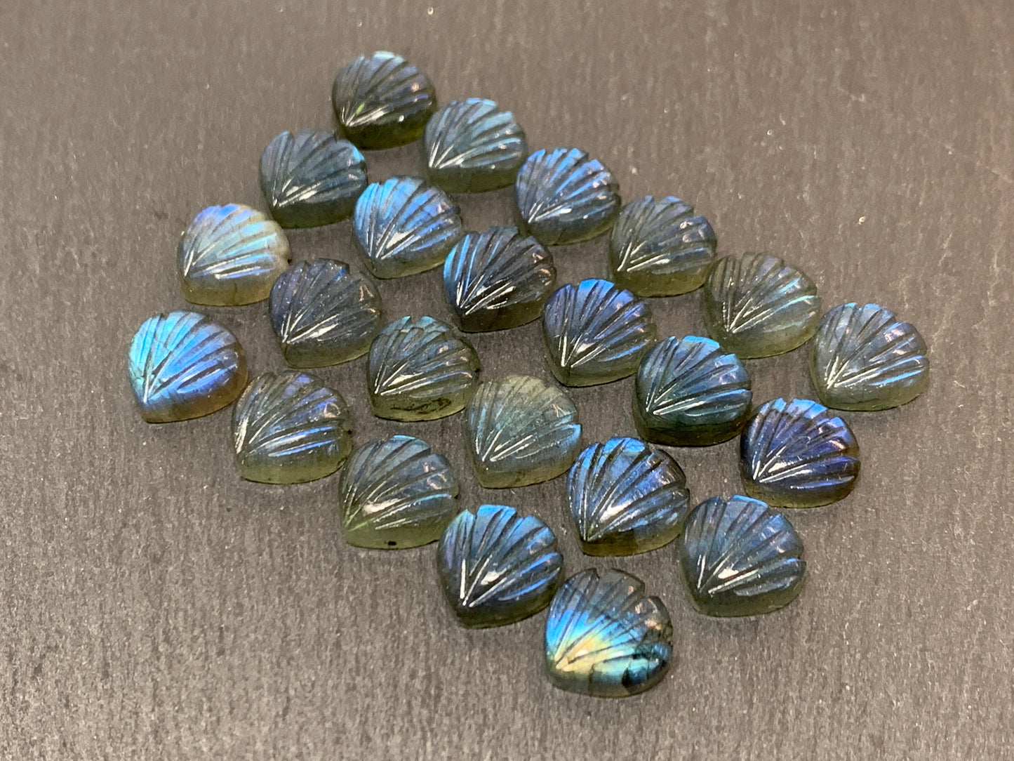 Labradorite Sea shell 12x12mm cabochon carved