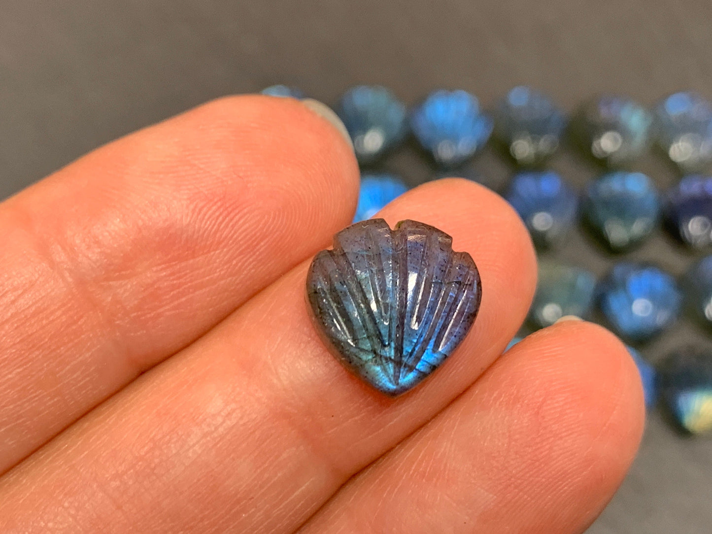 Labradorite Sea shell 12x12mm cabochon carved