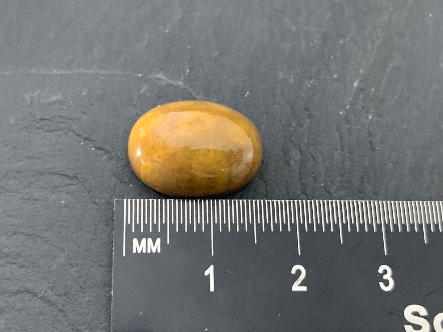 Petrified Coral oval 12x16mm cabochon - Calibrated cabochons