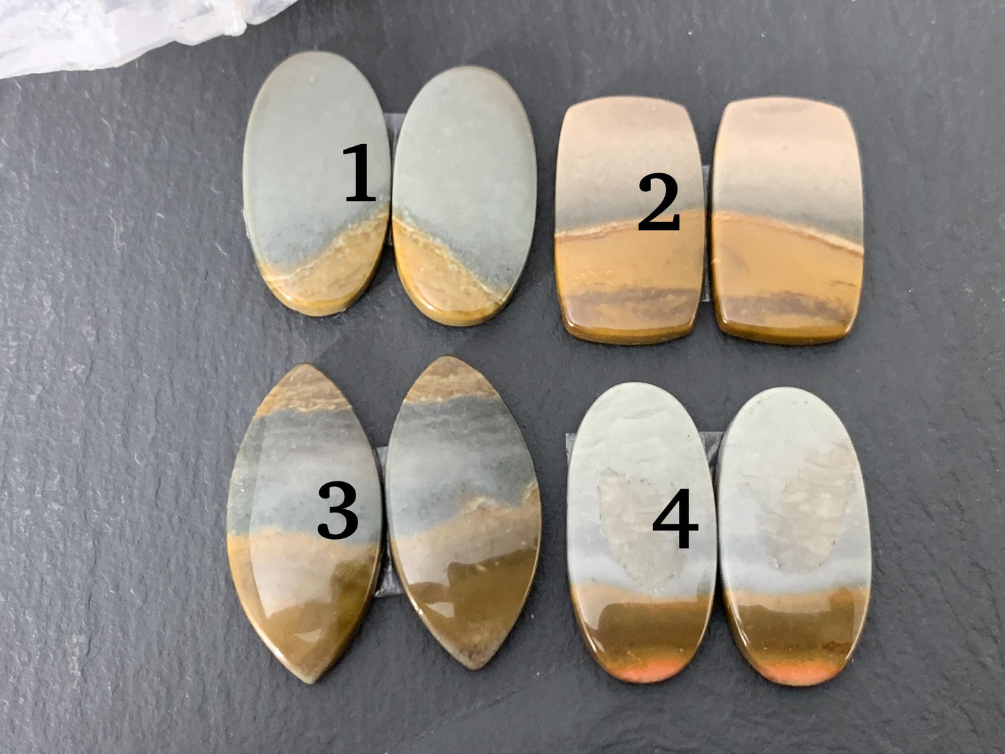 Polychrome Jasper cabochon pair