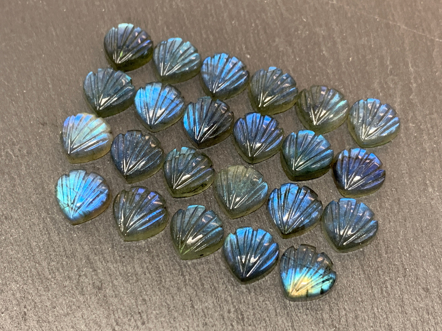 Labradorite Sea shell 12x12mm cabochon carved