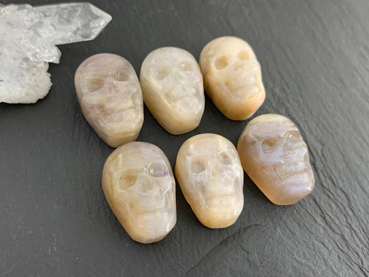 Moonstone skull 15x22mm cabochon carving