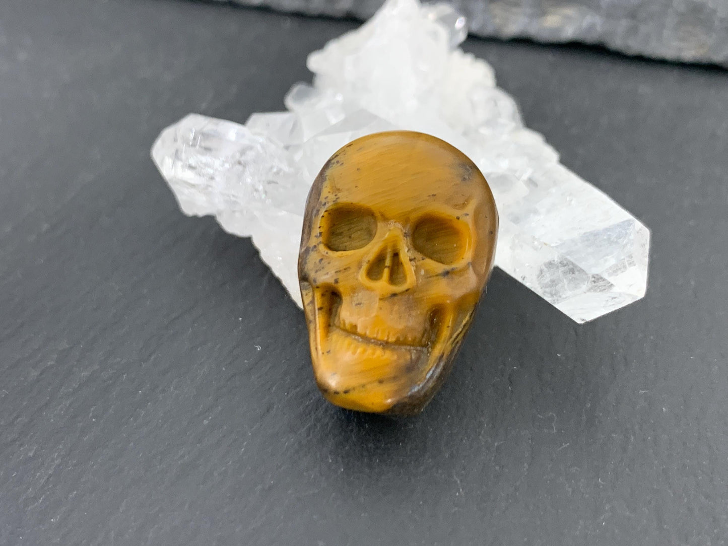Tiger eye skull 15x21mm cabochon