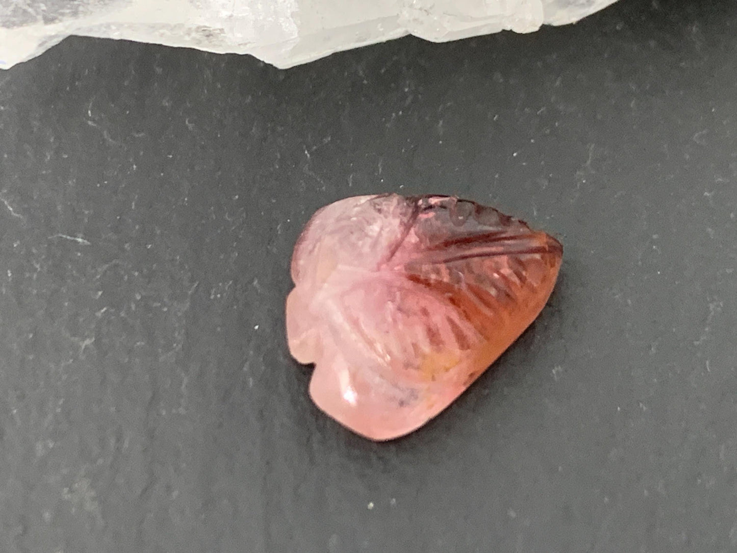 Carved Tourmaline 9x11x4mm cabochon