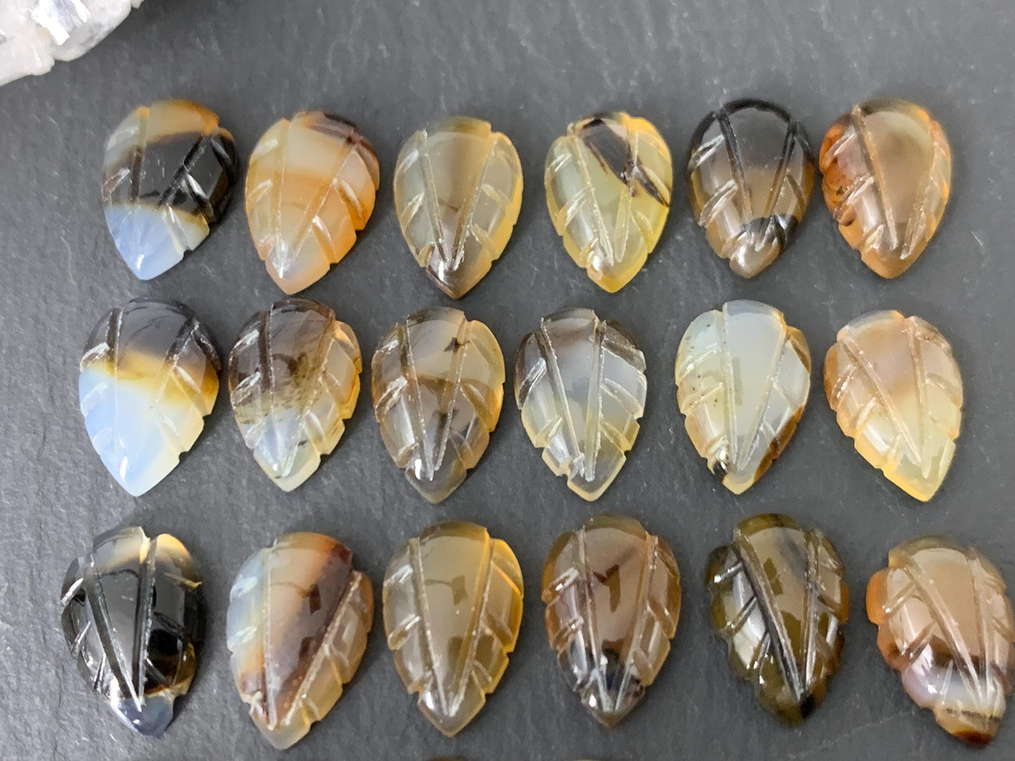 Montana Agate leaf 8x12mm cabochon