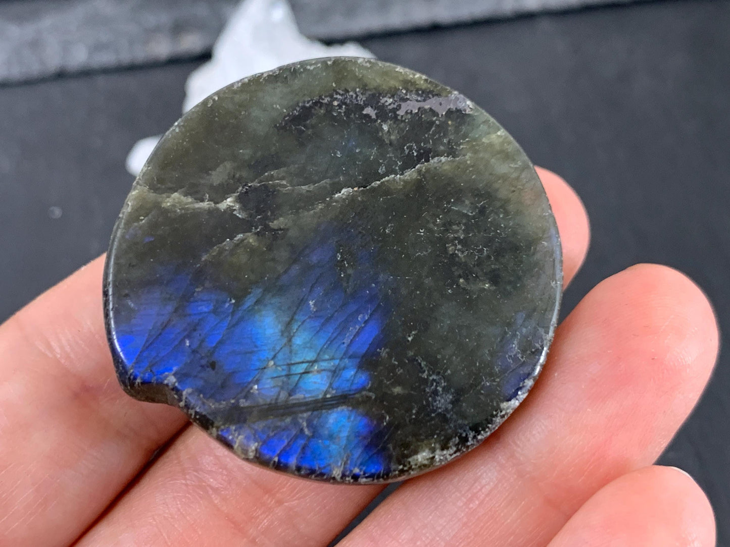 Labradorite Wolf Carving - Natural 40mm Flat Back Gemstone Figure