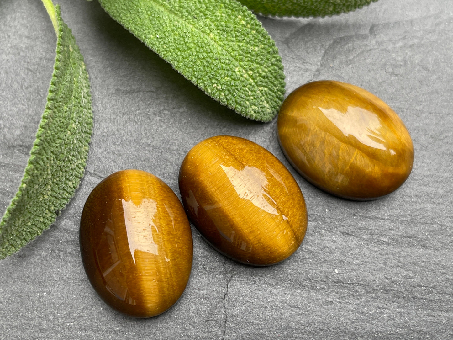 Tiger Eye oval 15x20mm cabochon - Calibrated cabochons