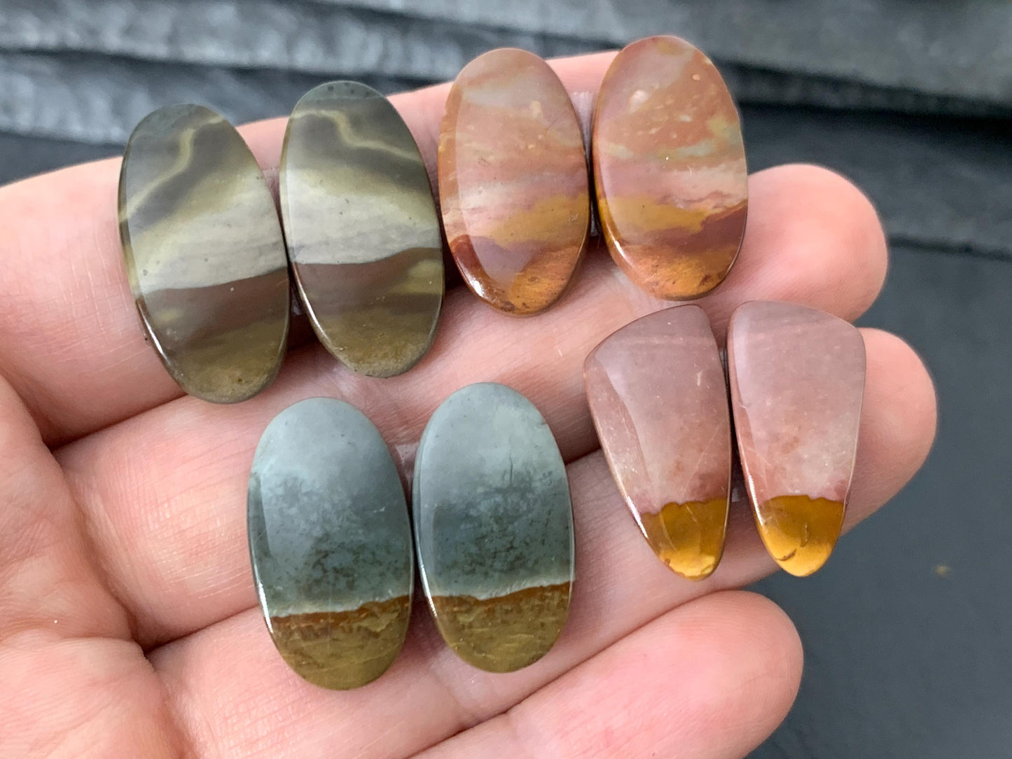 Polychrome Jasper cabochon pair