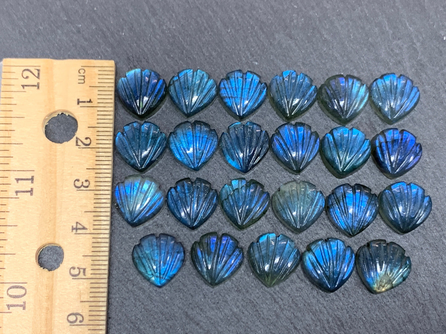 Labradorite Sea shell 12x12mm cabochon carved