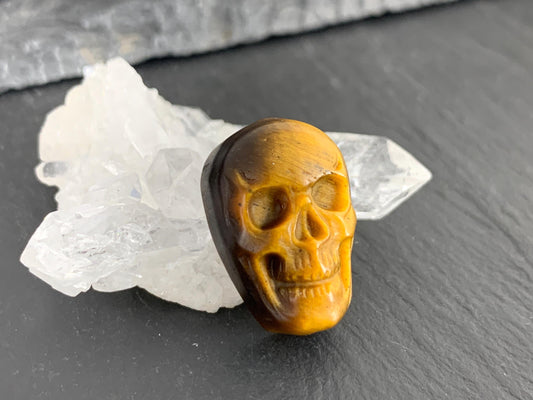 Tiger eye skull 14x21mm cabochon
