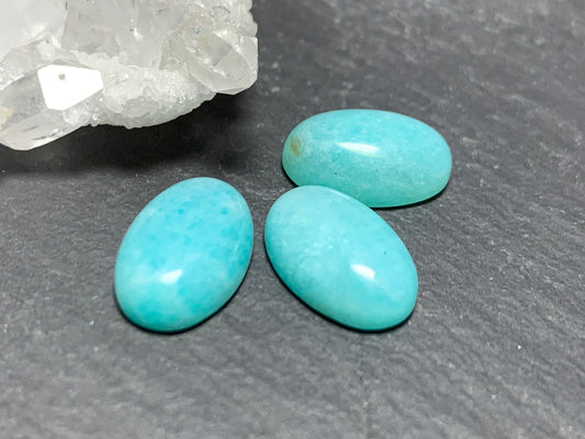 Amazonite oval 8x12mm cabochon - Calibrated cabochons