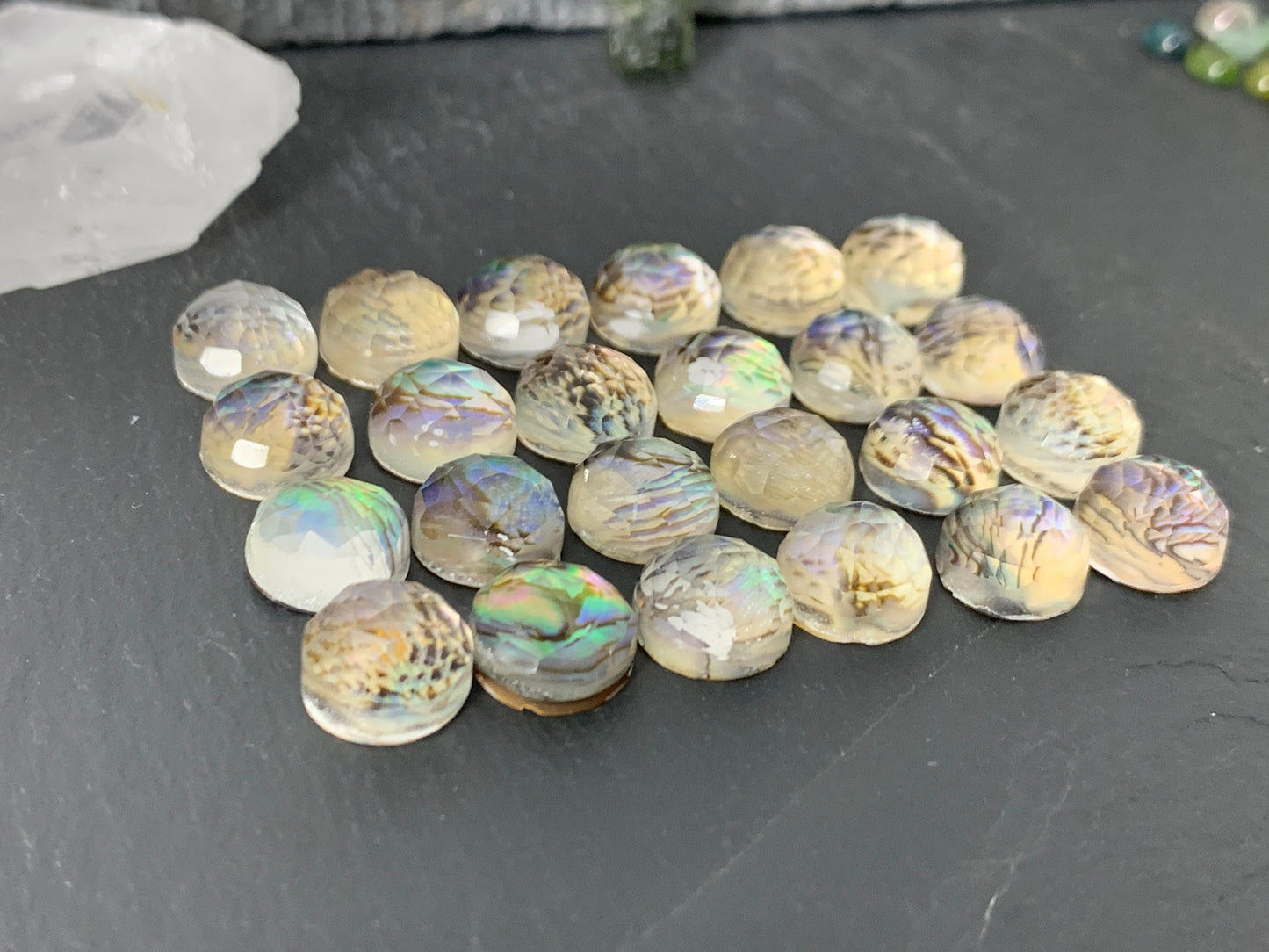 Faceted Abalone round 10mm doublet cabochon