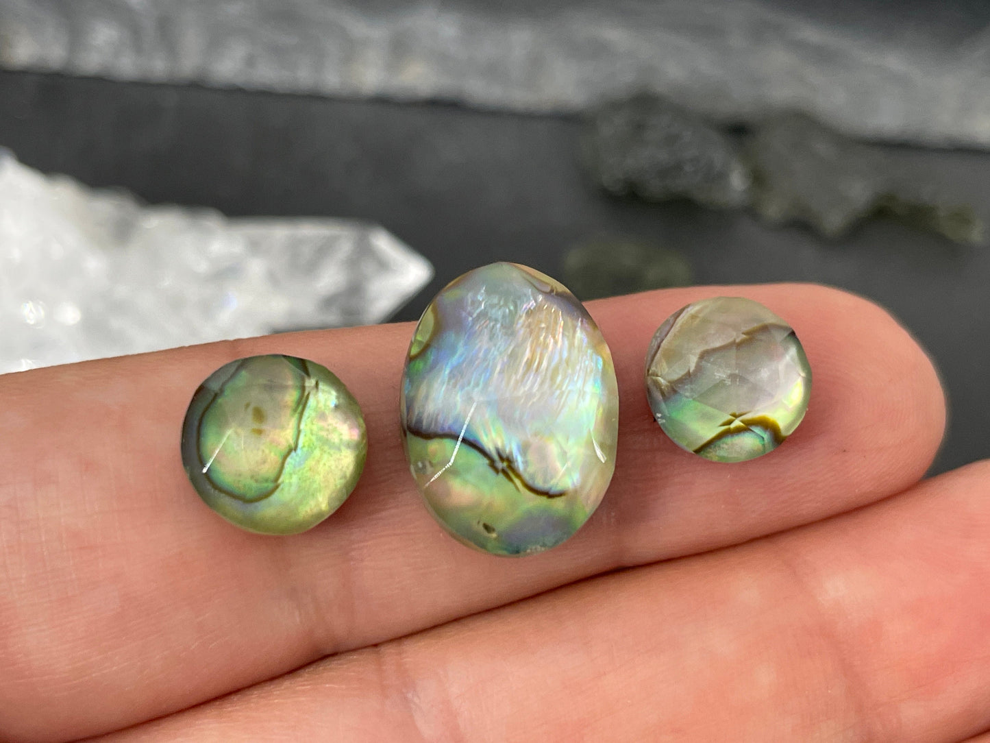 Faceted Abalone doublet cabochon
