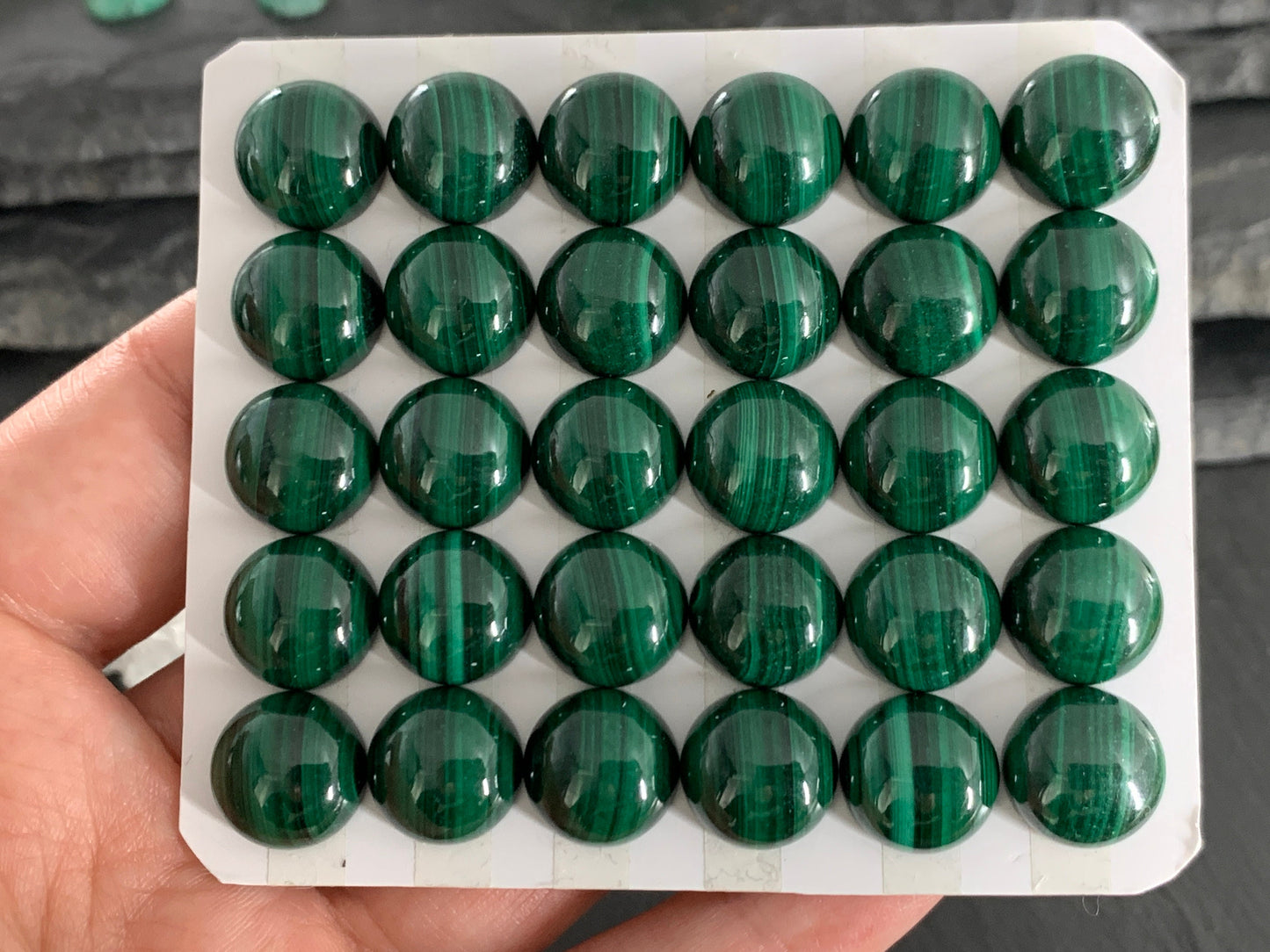 Malachite round 12mm cabochon - Calibrated cabochons