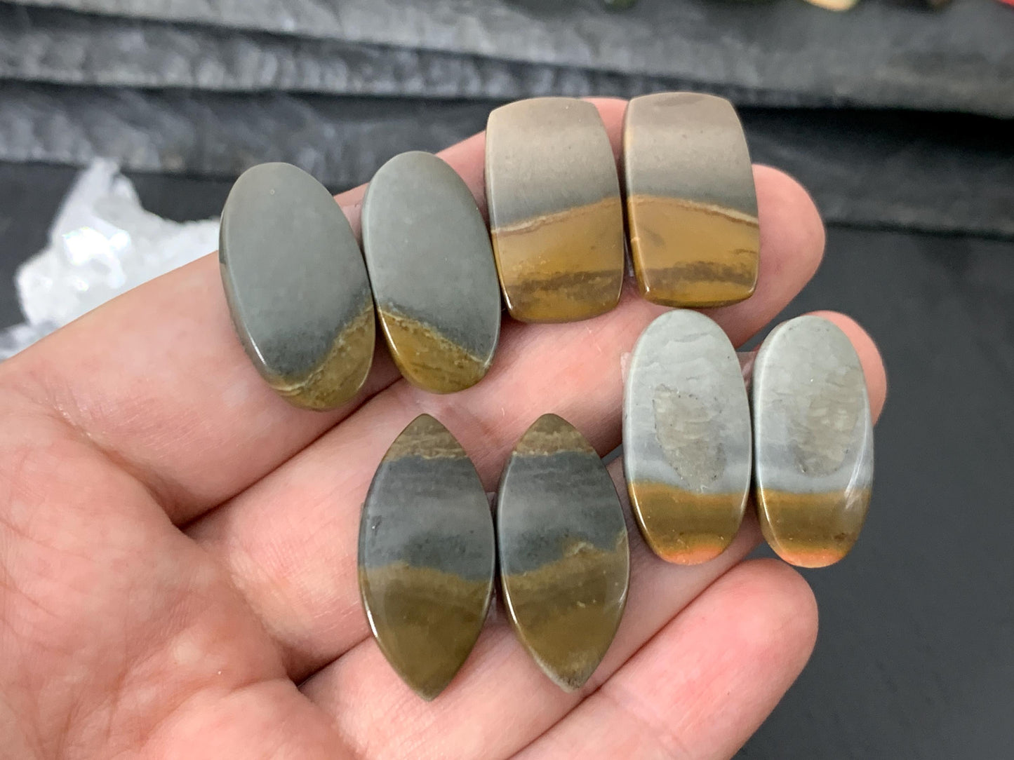 Polychrome Jasper cabochon pair
