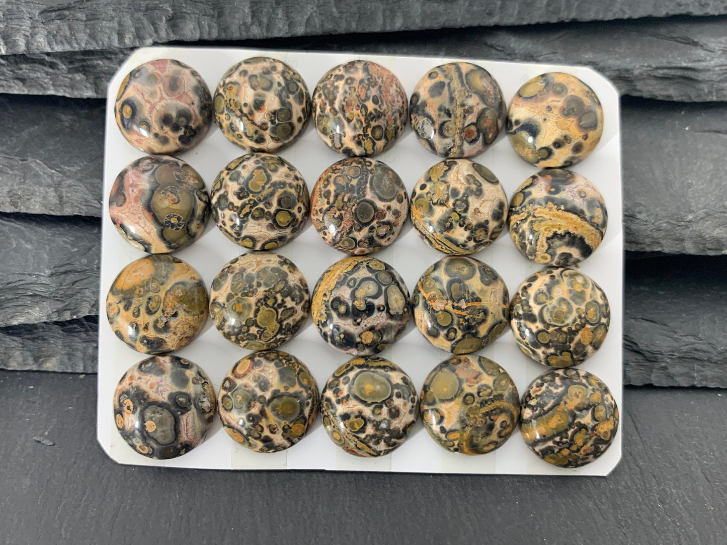 Leopard Jasper round 15mm cabochon - Calibrated cabochons