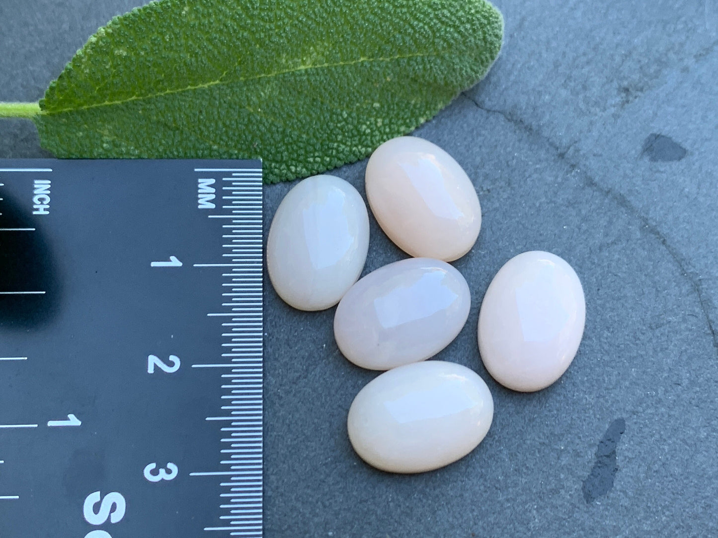 Pink Opal oval 10x14mm Cabochon