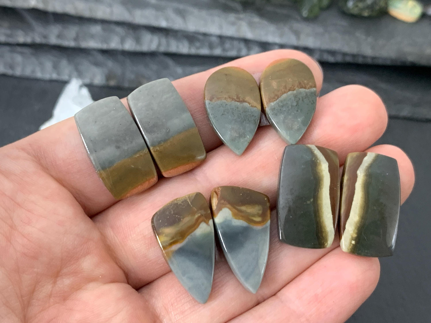 Polychrome Jasper cabochon pair