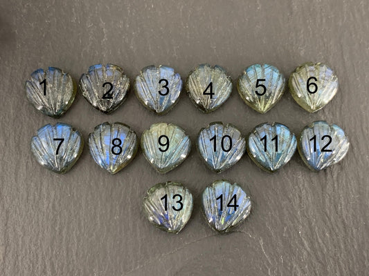 Labradorite Sea shell 12x12mm cabochon carved