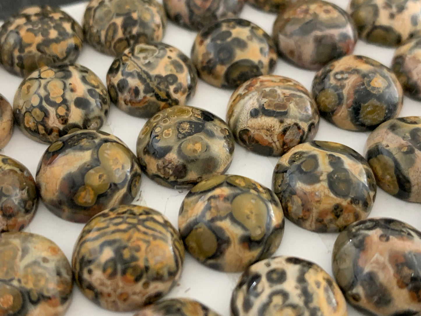 Leopard Jasper 12mm cabochon