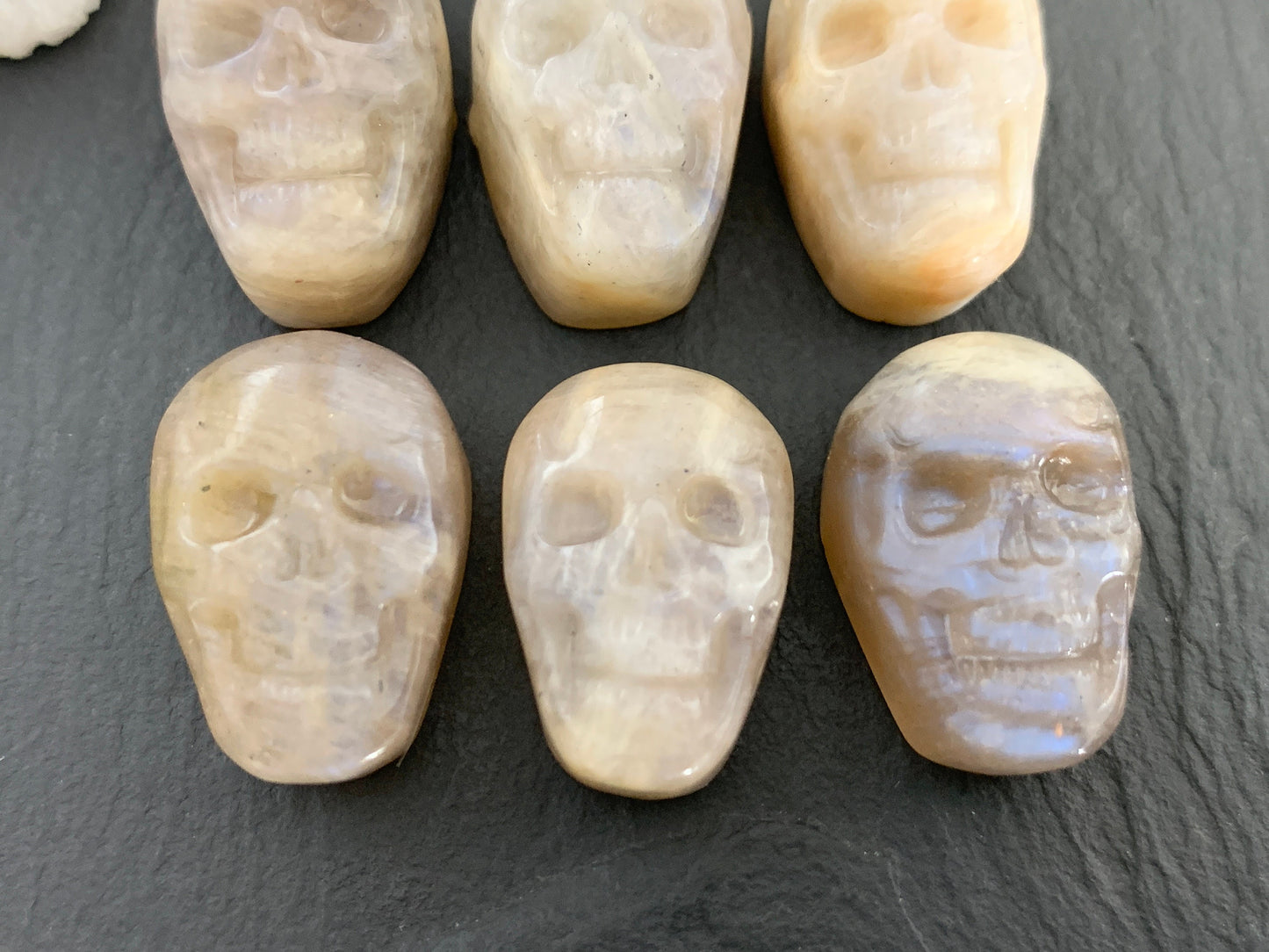Moonstone skull 15x22mm cabochon carving