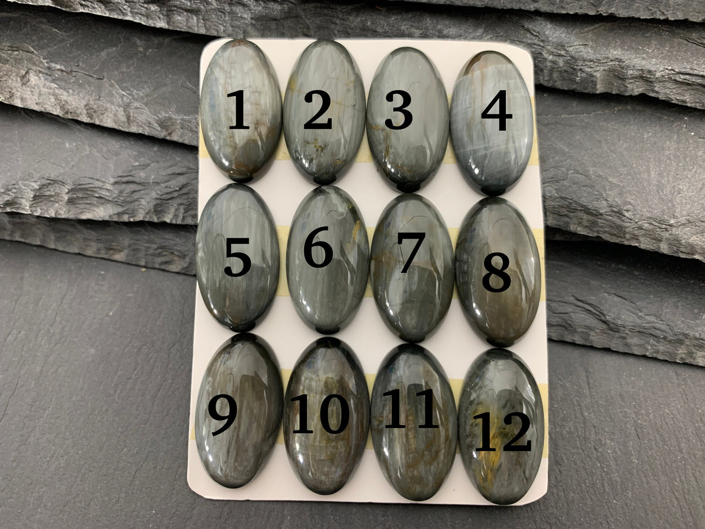 Eagle Eye oval 14x25mm cabochon - Calibrated cabochons