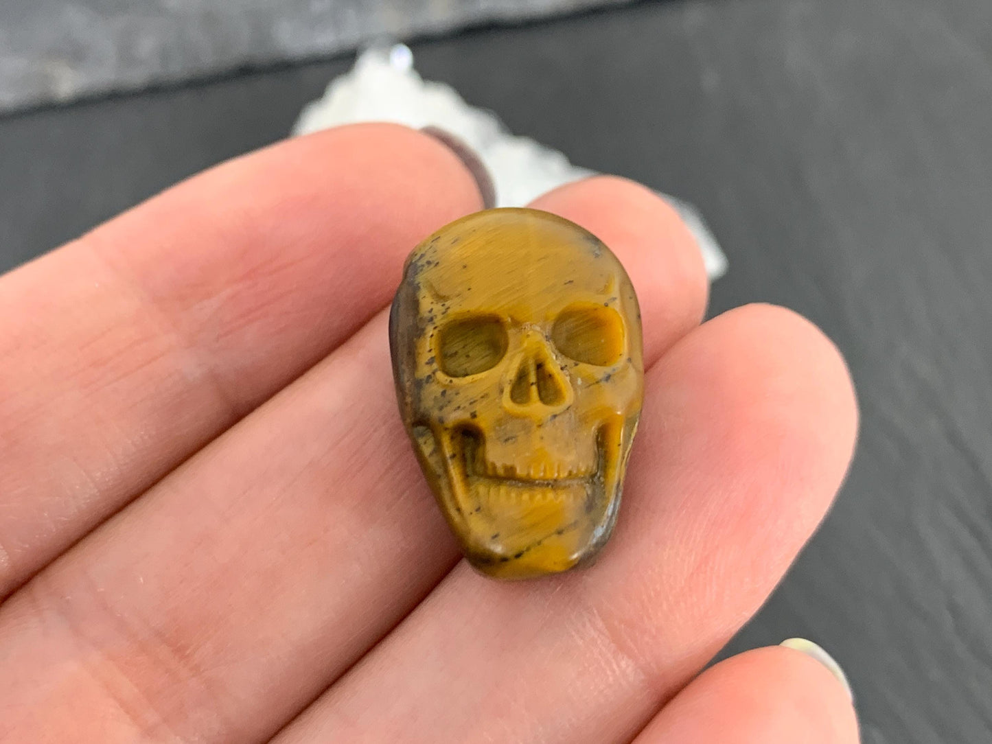 Tiger eye skull 15x21mm cabochon