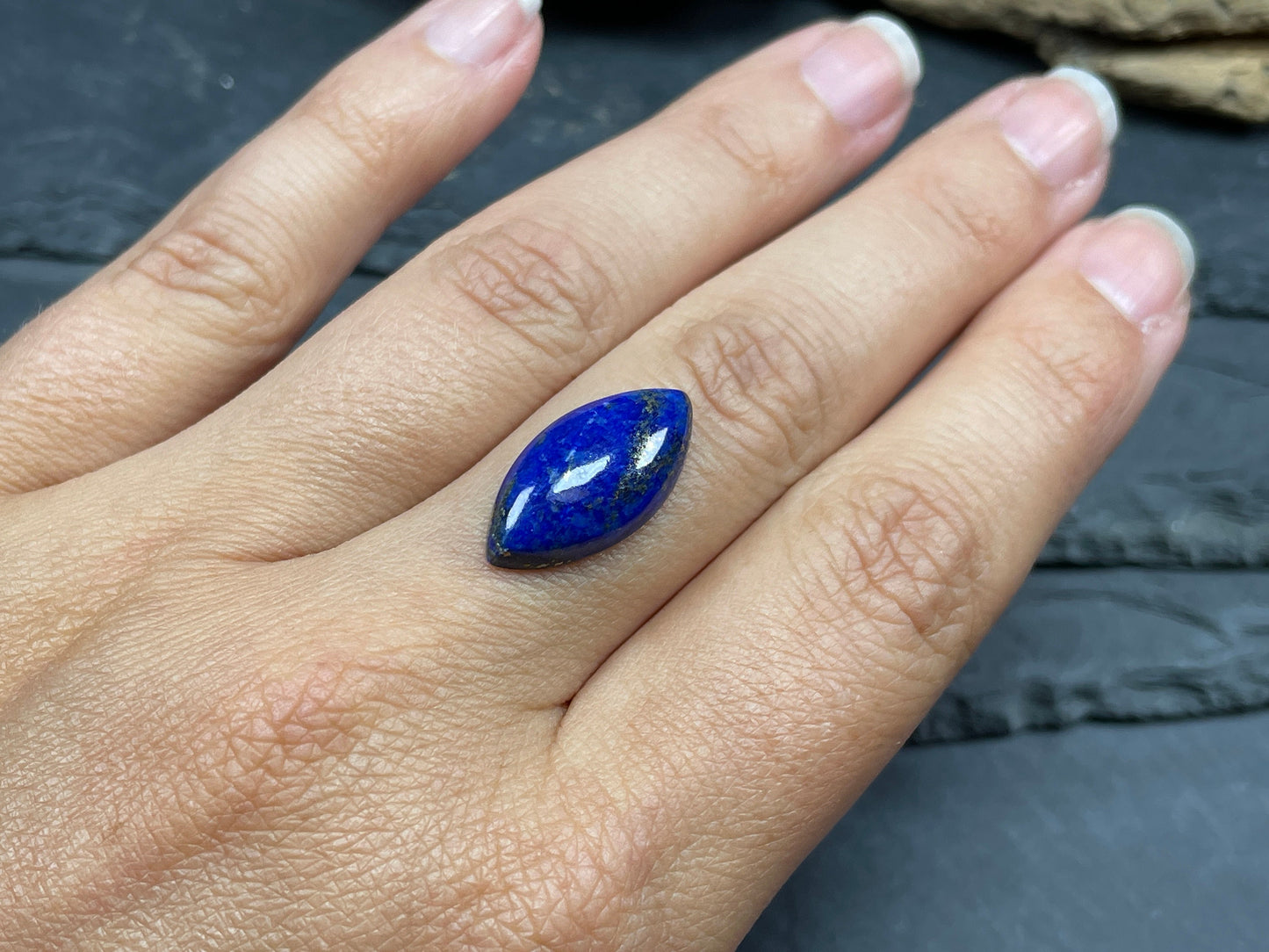 Lapis Lazuli marquise 10x20mm cabochon - Calibrated cabochons