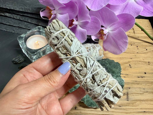 White Sage - 4 Inch California White Sage