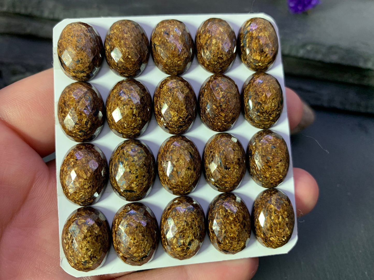 Faceted Bronzite oval 12x16mm cabochon- Calibrated cabochons