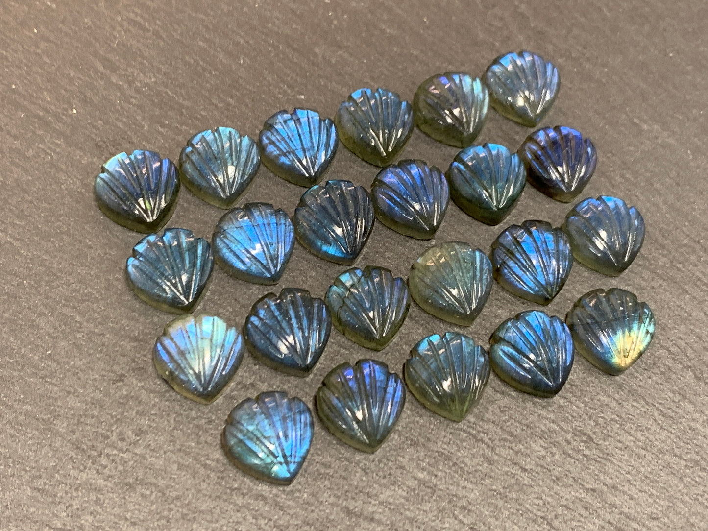 Labradorite Sea shell 12x12mm cabochon carved