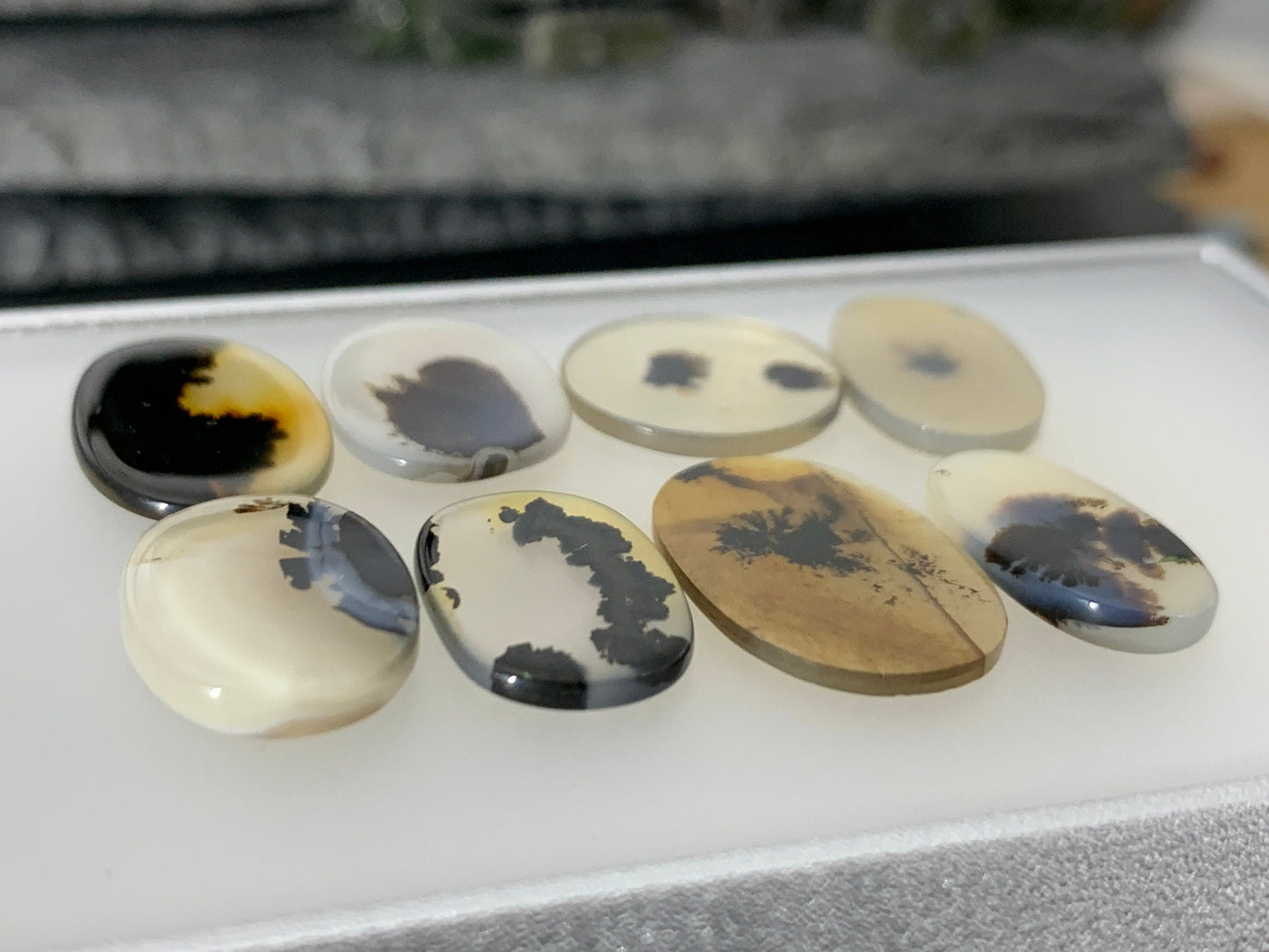 Flat Scenic Agate oval, round 16-20mm long cabochon | Natural Scenic Agate