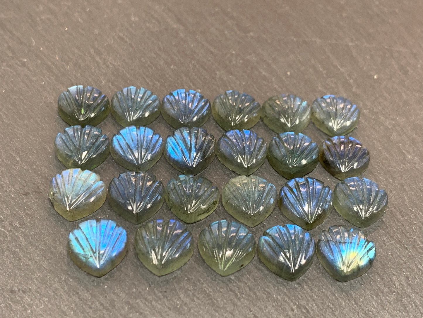 Labradorite Sea shell 12x12mm cabochon carved
