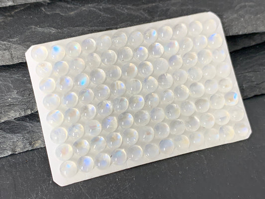 Rainbow Moonstone round 5mm cabochon - Calibrated cabochons